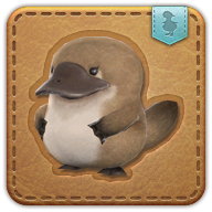 bitty duckbill