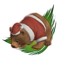 Starlight bear