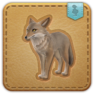 Squeak the Coyote