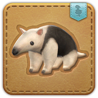 anteater