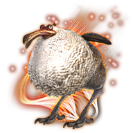 dodo