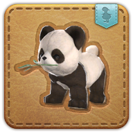 panda cub