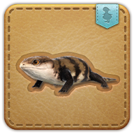sewer skink