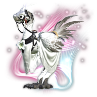 ceremony chocobo