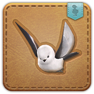 silver dasher