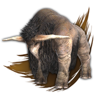 island buffalo