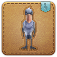 shoebill
