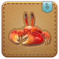crabe de la crabe