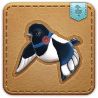 Doman magpie
