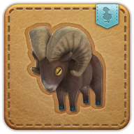 not-so-bighorn
