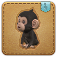 chimpanzee