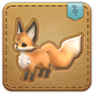 fox kit