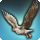 hunting hawk
